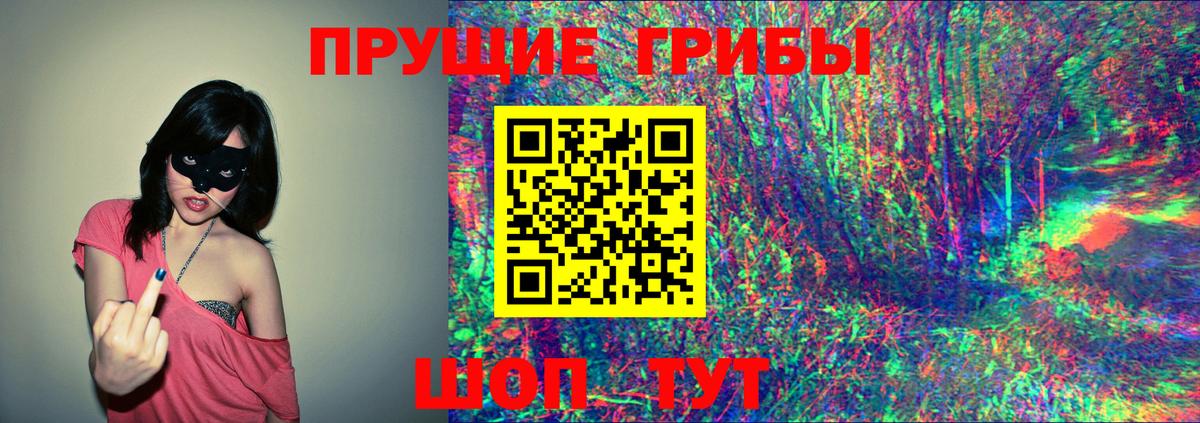 Донецк  Галлюциногенные грибы прущие грибы  Вход с VPN 